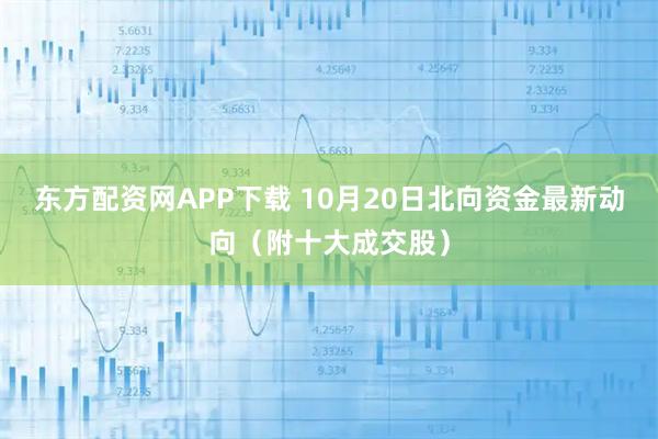 东方配资网APP下载 10月20日北向资金最新动向（附十大成交股）