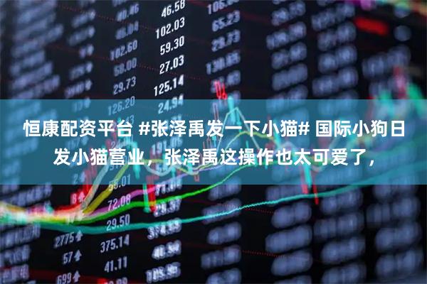 恒康配资平台 #张泽禹发一下小猫# 国际小狗日发小猫营业，张泽禹这操作也太可爱了，